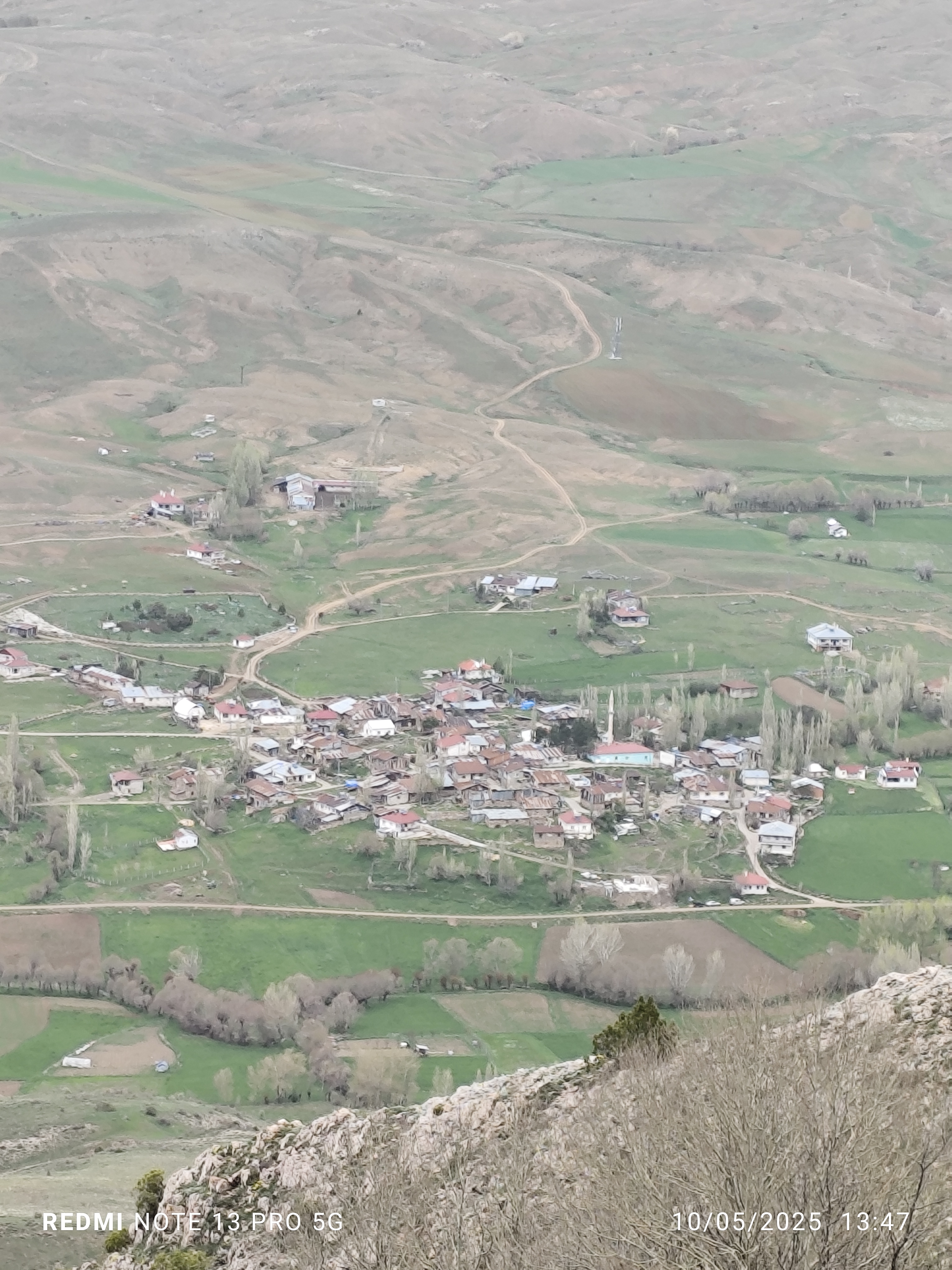 Hizmetli