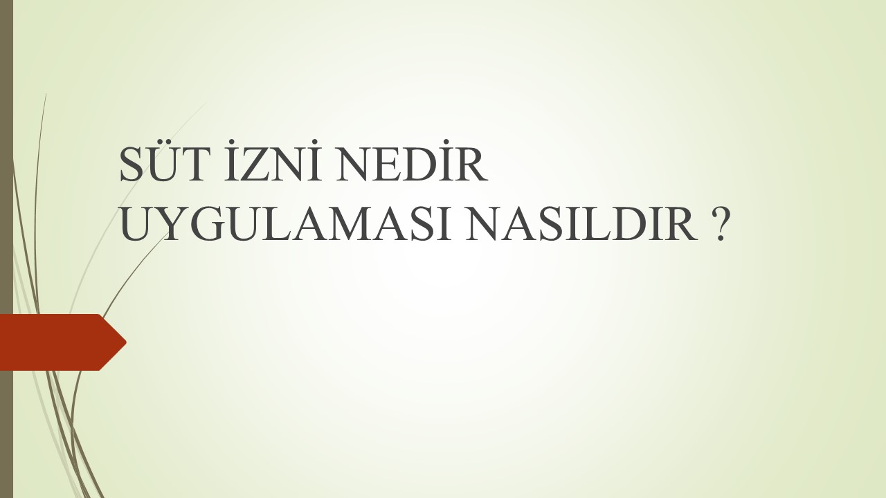 SÜT İZNİ NEDİR ? 